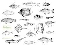 fish on �y�����Z���N�g�Ö{��